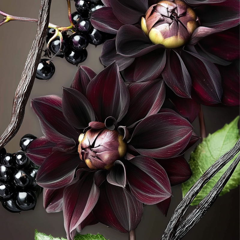 purple flower and vanilla beans with junipers berries