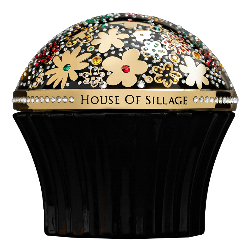 Whispers of Truth Noir