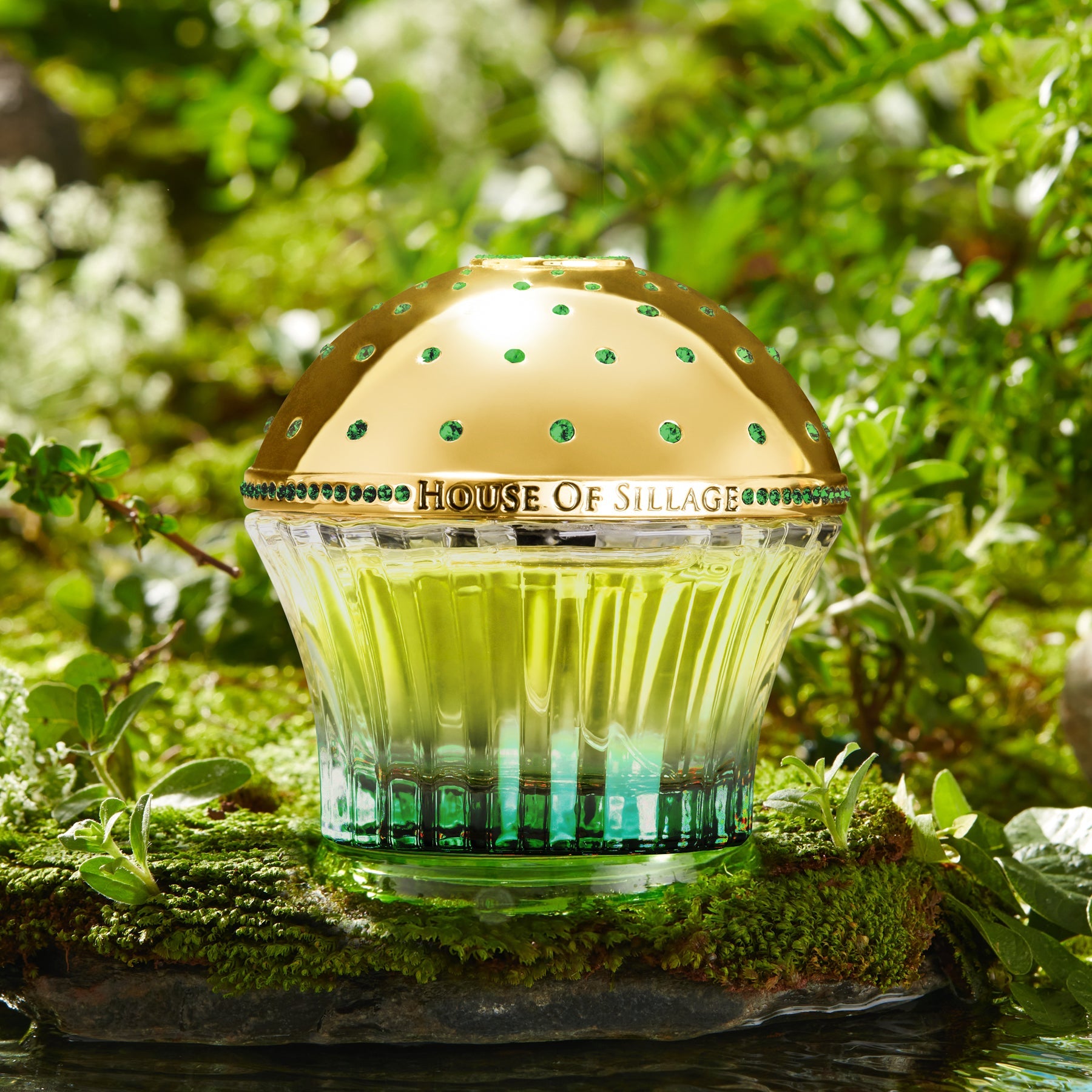 Passion de L’Amour