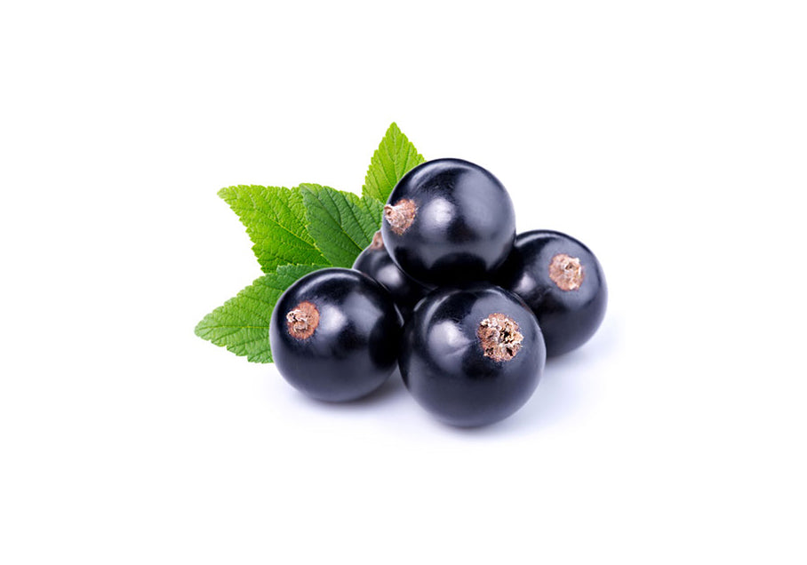 The Trend No. 6 - House of Sillage