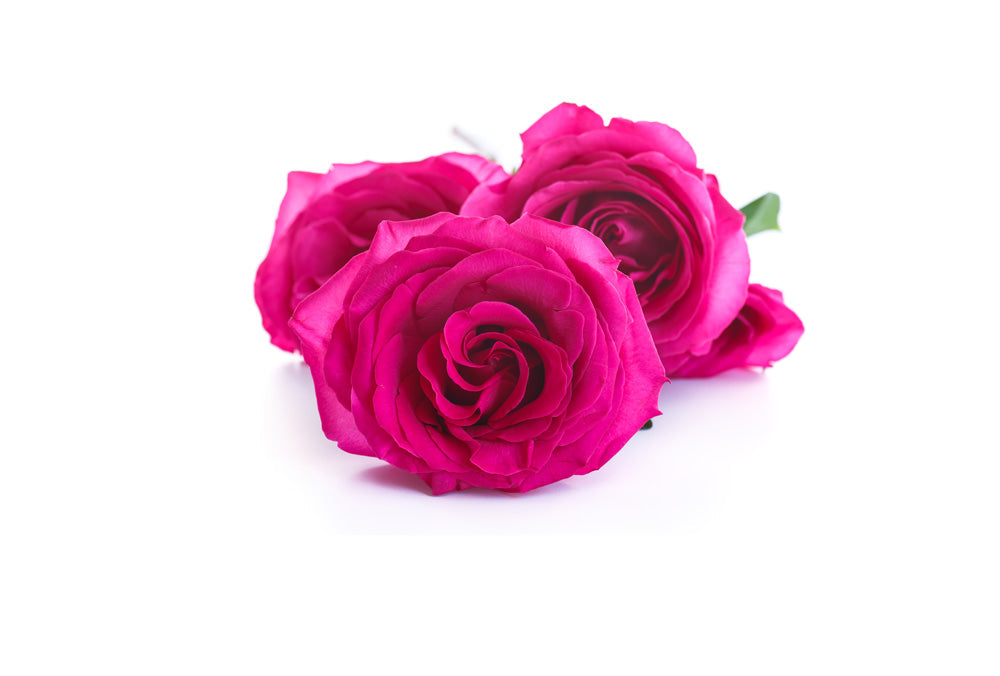 Holiday - Signature Parfum - House of Sillage