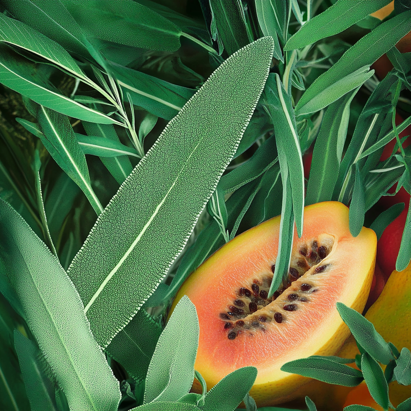 green leaves with sage and papaya